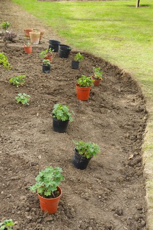 A new empty flower bed is planned by placing plants in containers in their planting positionsの写真素材