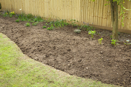 Preparing a garden flowerbed for planting. The flower bed is shown freshly dug and emptyの写真素材