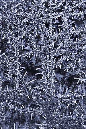 Microscopic detail of hoarfrost crystals, winter backgroundの写真素材