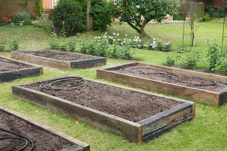 Newly built raised beds with irrigation hose before planting in a newly prepared vegetable gardenの写真素材
