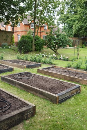 Raised beds before planting in a vegetable garden within a formal English gardenの写真素材