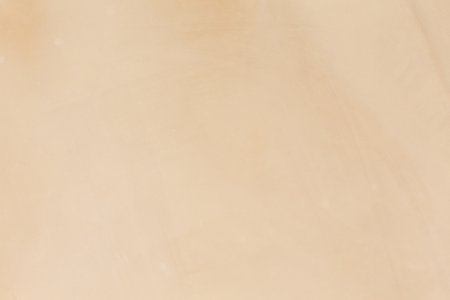 Detail of a gypsum plaster wall, ideal for a texture, template or backgroundの写真素材