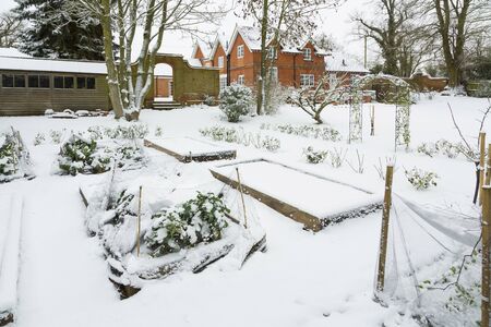 Large vegetable garden covered in snow in winter, England UKの写真素材