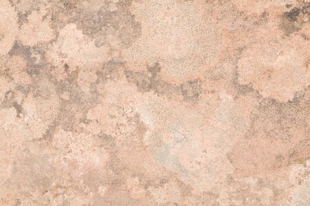 Detail of sandstone rock texture with a mottled pattern, ideal for a geology background or templateの写真素材