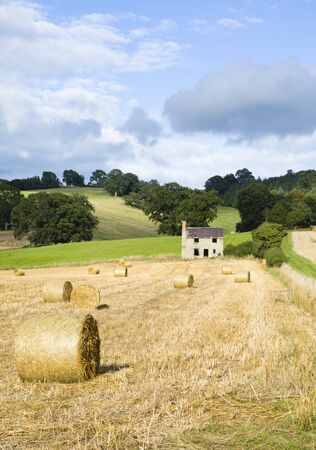 Hay bales, circular rolls of straw, in a field in Shropshire, UKの写真素材