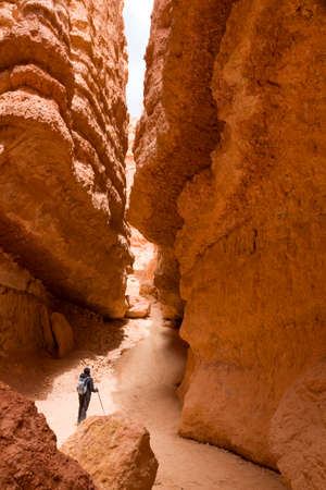 Indian, Asian woman hiking alone through a gorge in Bryce Canyon National Park, Utah, USA