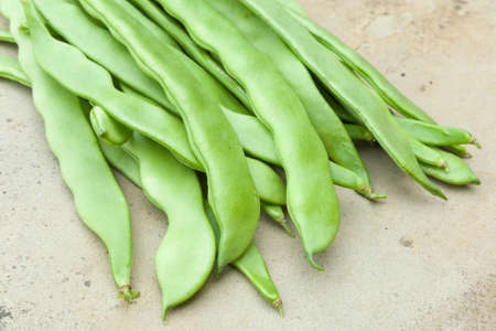 French beans, climbing French bean Hunter crop, a type of phaseolus vulgaris or common green bean, UKの写真素材