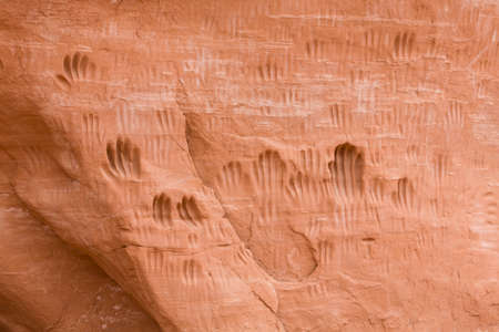Handprints or petroglyphs worn into rock by Paleo-Indians (Native Americans). Kodachrome Basin State Park, Utah, USAの写真素材