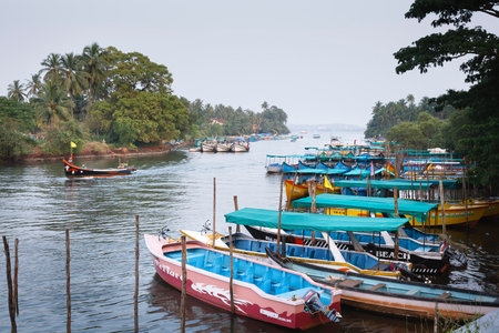 PANAJI, INDIA - November 06, 2011. Row of empty tourist boats moored on the shore of Nerul River, Candolim, Goaのeditorial素材