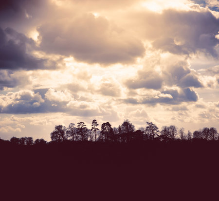 Retro toned image of trees silhouette against a dramatic sky in English country scene, Buckinghamshire, UKの写真素材