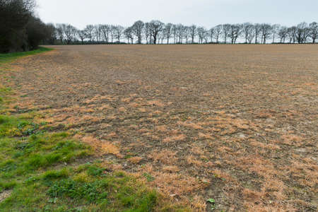 Weed killer, glyphosate, a chemical herbicide, sprayed on a field to control weeds. Buckinghamshire, UKの写真素材
