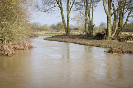 Swollen meandering river with high water level in countryside, Buckinghamshire, UKの写真素材
