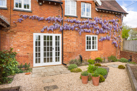 Victorian house with wooden windows, French doors and wisteria. Hard landscaped garden with York stone patio and gravel. England, UKの写真素材