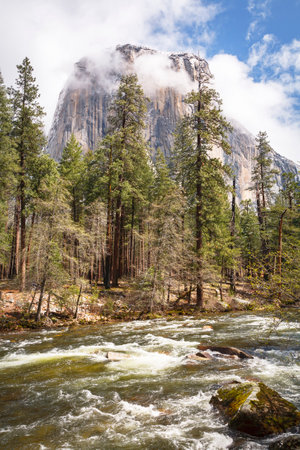 Merced River and El Capitan, Yoesemite Valley. Yosemite National Park, California, USAの写真素材