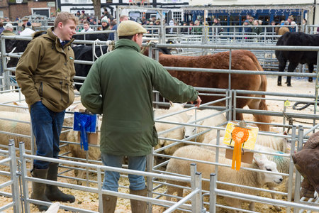 WINSLOW, UK - December 05, 2022. Farmers at a market with prize sheep, livestock. Winslow Primestock Christmas Show, Buckinghamshire, UKのeditorial素材