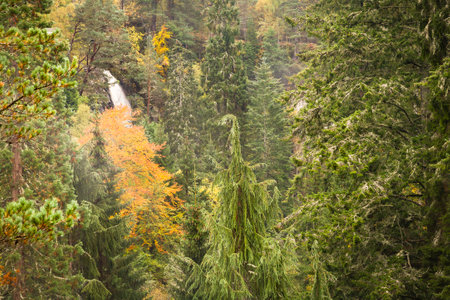 Plodda Falls waterfall in forest in autumn. Scottish highlands landscape, Scotland, UKの写真素材