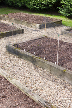 Empty wooden sleeper raised beds in a vegetable garden in spring. Preparing vegetable beds in a UK gardenの写真素材