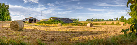 Wide panoramic view of a rural farm landscape in summer in Buckinghamshire, UK, featuring hay bales, barns, and golden fields under a blue skyの写真素材