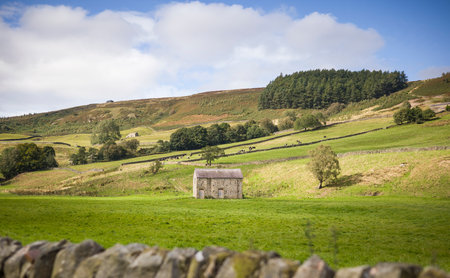 Nidderdale landscape with a traditional stone barn, green fields and blue sky. Yorkshire Dales, UKの写真素材
