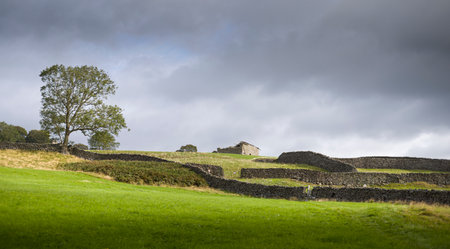 Nidderdale landscape with a traditional stone barn, dry stone walls, green fields, and a tree under a dramatic cloudy sky. Yorkshire Dales, UKの写真素材