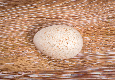 Turkey eggs on wooden backgroundの写真素材
