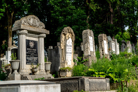 CLUJ-NAPOCA, TRANSYLVANIA, ROMANIA - JUNE 17, 2021:  View from the central cemetery  in  Cluj-Napoca.のeditorial素材