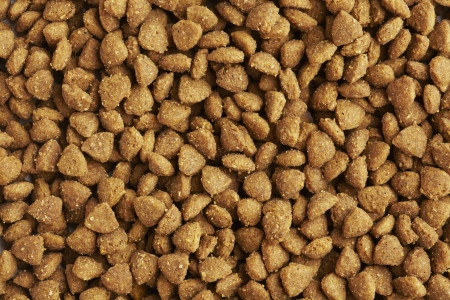 Kibble dog or cat food close up