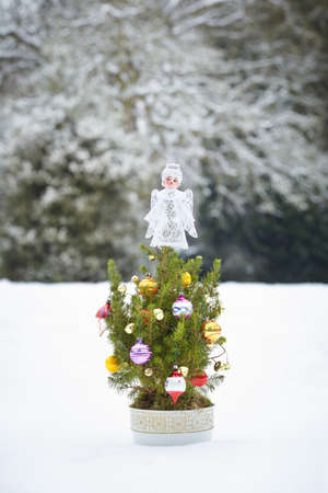 Small decorated christmas tree in snow landscapeの写真素材