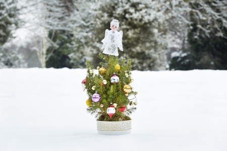 Small decorated christmas tree in snow landscapeの写真素材