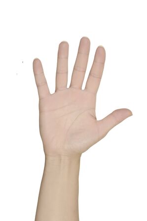open hand, isolated, white background, studio shotの写真素材