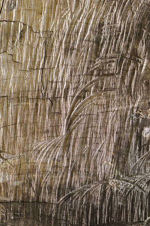 Traces of a chainsaw in wood, outdoor shotの写真素材