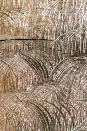 Traces of a chainsaw in wood, outdoor shotの写真素材