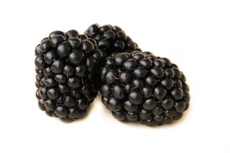 blackberries isolation on white background