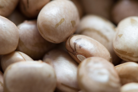 Macro closeup of pinto beans with shallow focus.
