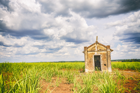 Abandoned old chapel inside a sugar cane plantation - Brazil countrysideの写真素材