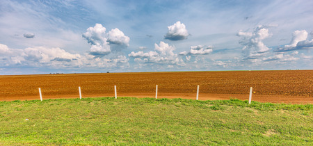 Sugar cane plantation and cloudy sky in Brazil coutrysideの写真素材
