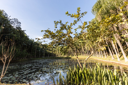 View od Malwee Park lake. Jaragua do Sul. Santa Catarina, Brazil.の写真素材