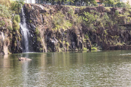 Ribeirao Preto city park, aka Dr. Luis Carlos Raya. A city in Brazil country side. Sao Paulo state.の写真素材