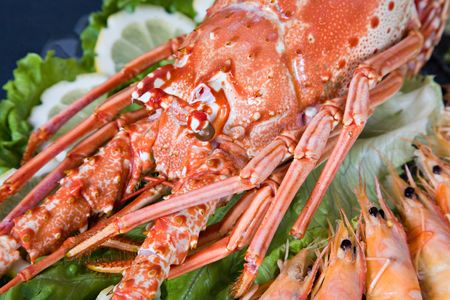 Fresh and delicious seafood - lobster and shrimpの写真素材