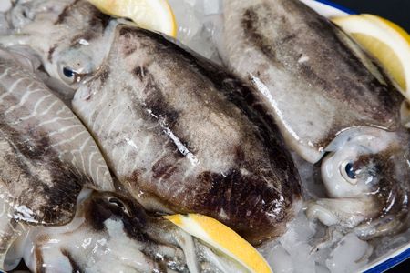 Fresh octopus on iceの写真素材