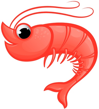 Shrimp Mascotのイラスト素材