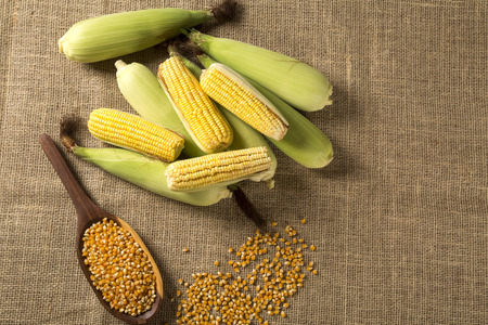 Ear of corn, revealing yellow kernels of maize in a wicker basketの写真素材