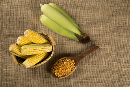 Corn maize and popcorn on a table.の写真素材