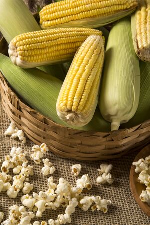 Corn maize and popcorn on a table.の写真素材