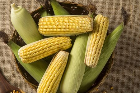 Corn maize on a table.の写真素材