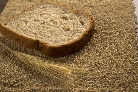 Portion of uncooked Quinoa and wey protein (detailed close-up shot)