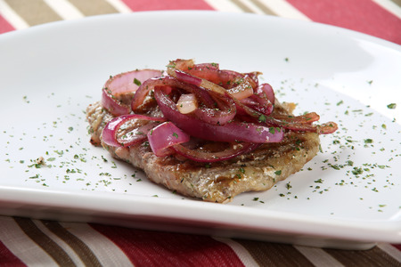 meat with onion.の写真素材