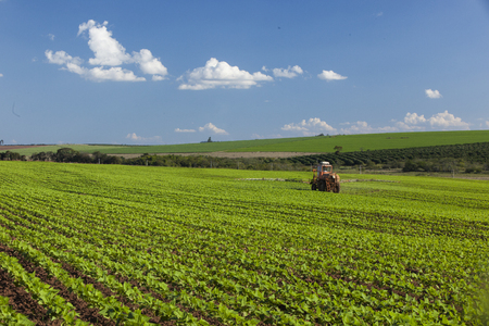 Machine working at peanut field under a blue sky. Agriculture.の写真素材