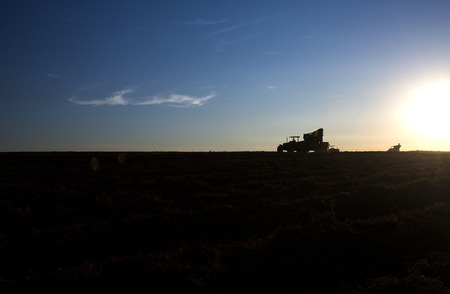 Rural machine working at agriculture field at sunset. Agriculture.の写真素材