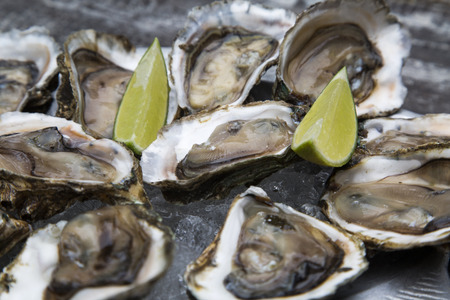 Tasty oysters on ice with lemon. Wood background.の写真素材